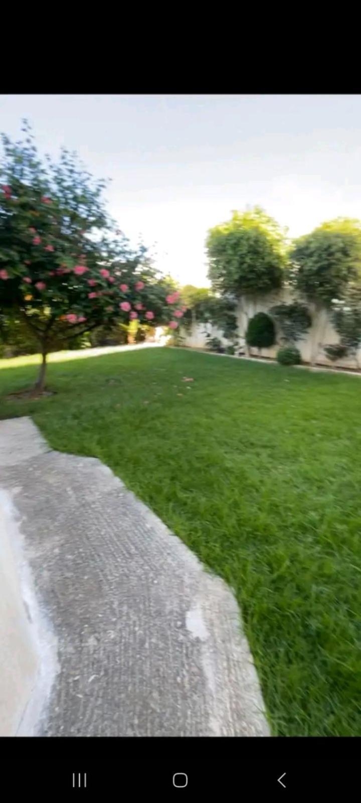 Chambres Maya Alcácer-Ceguer Exterior foto